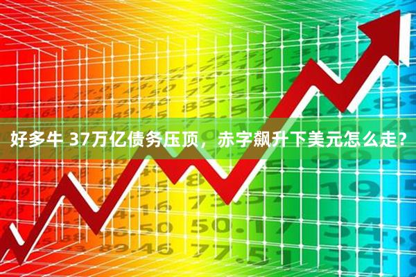 好多牛 37万亿债务压顶，赤字飙升下美元怎么走？
